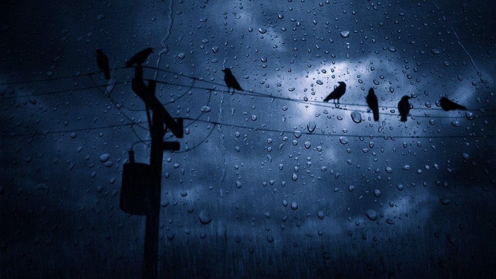 Дождь грусть одиночество