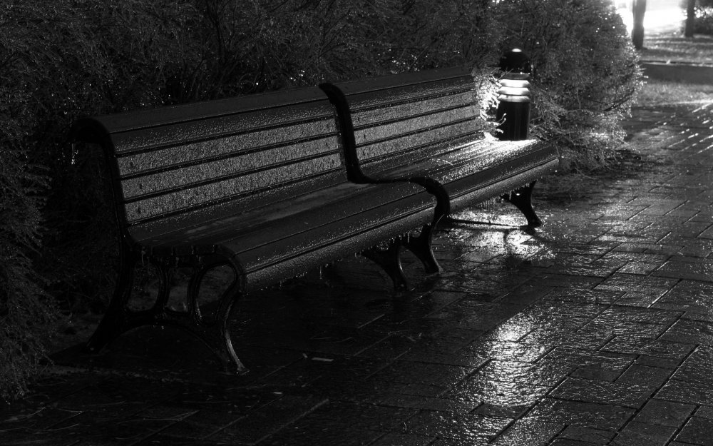 Скамейка в парке под дождем
