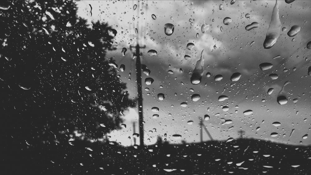 Серый дождь