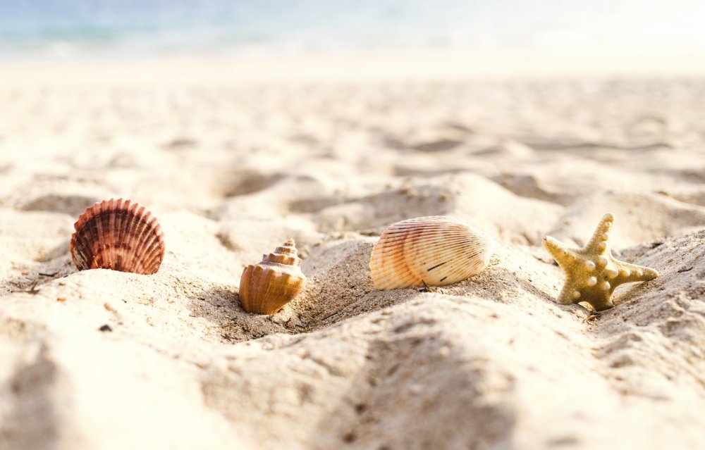 Лето море песок