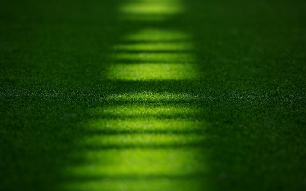 Зеленое футбольное поле