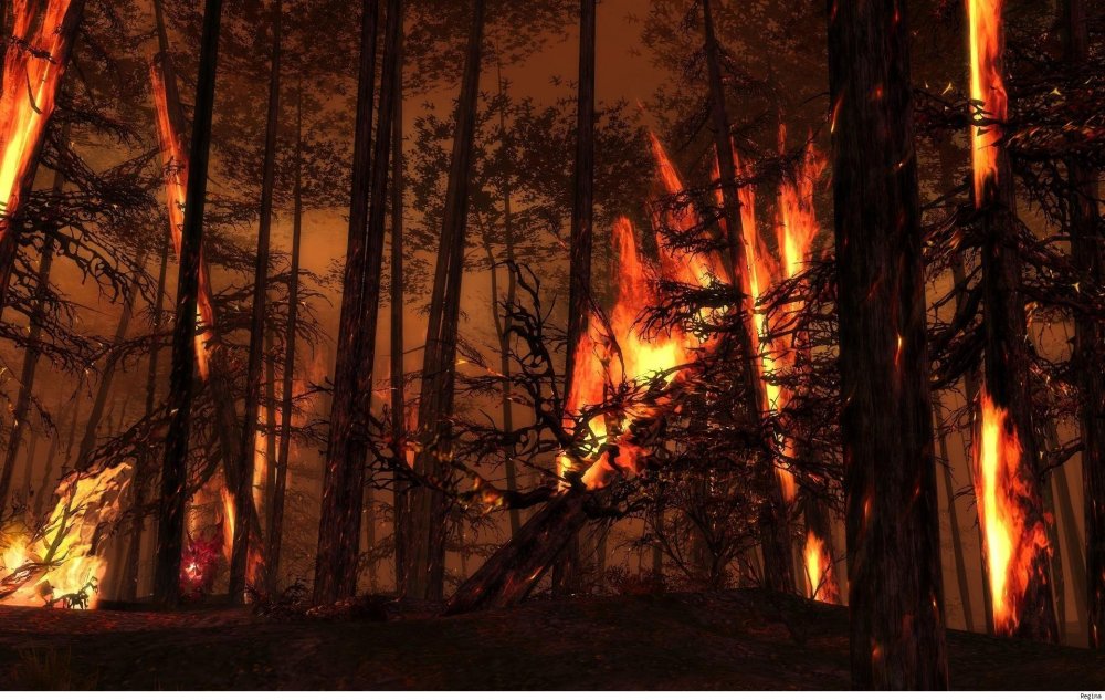 Лес в огне