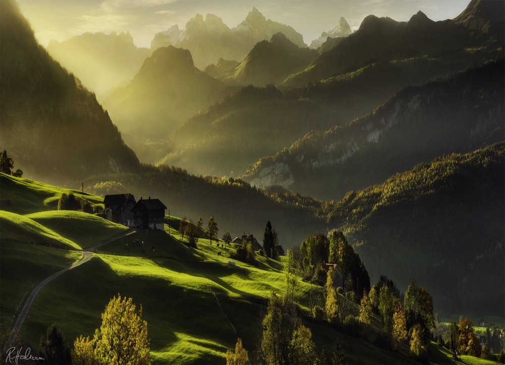 Природа Швейцарии деревья холмы горы