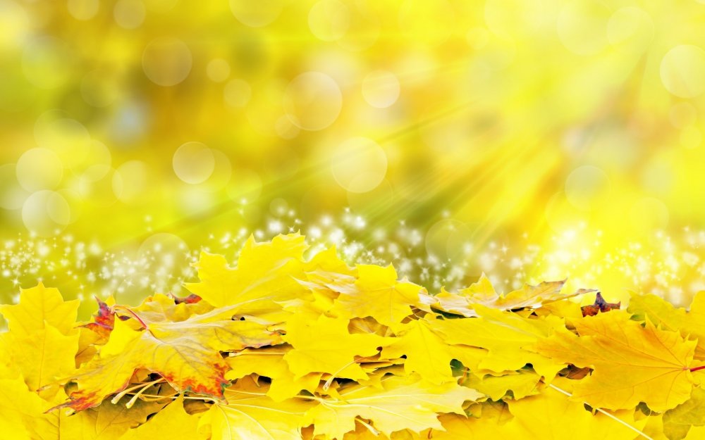Желтые листья фон