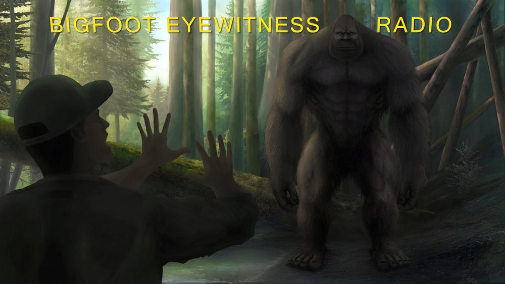 Bigfoot (видеоигра)