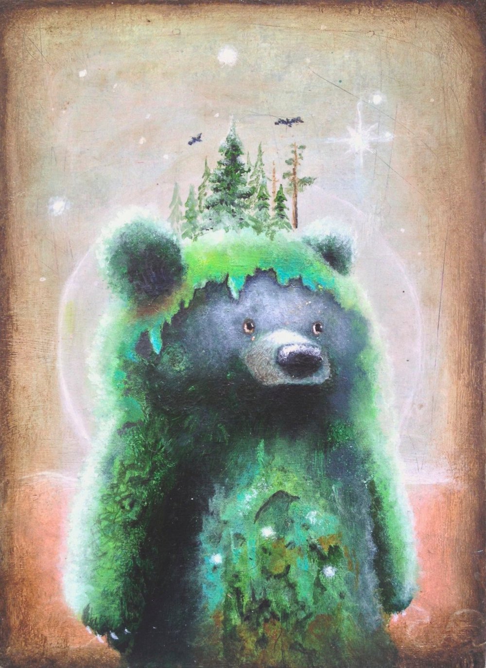 Волшебный медведь
