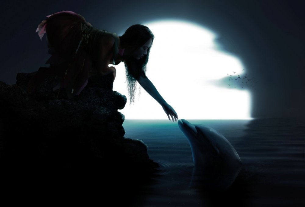 Дельфины и девушка