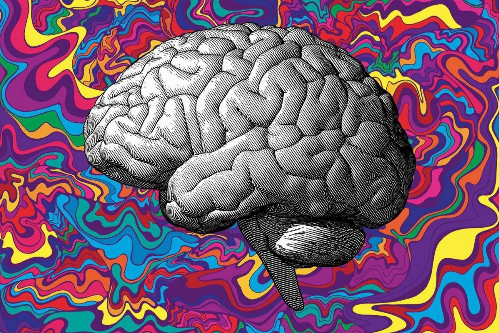 Мозг психоделика