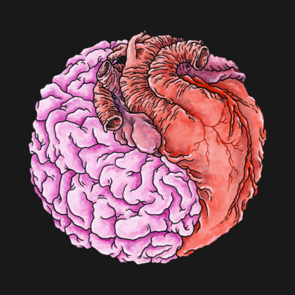 Мозг и сердце арт