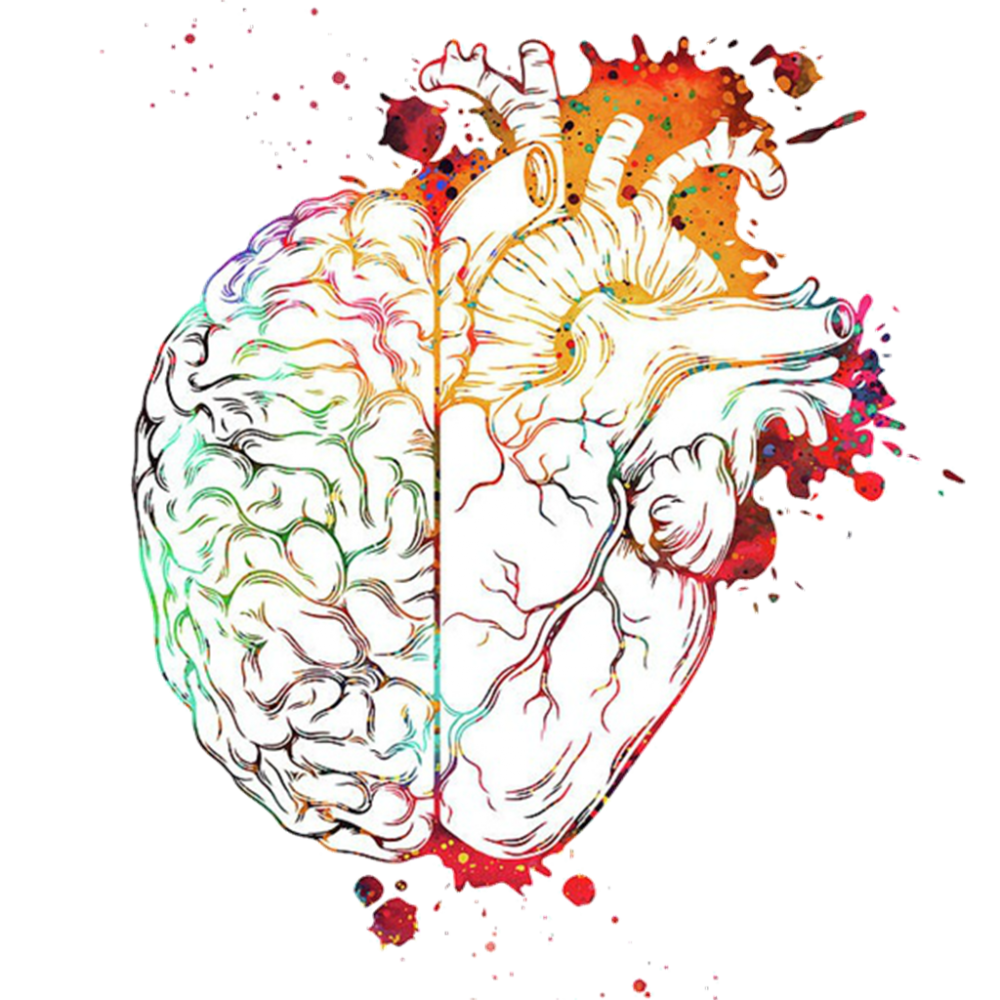 Сердце и головной мозг