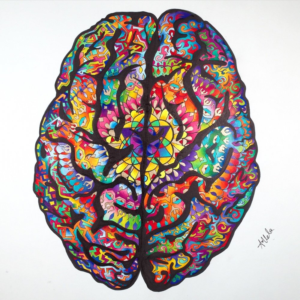 Головной мозг арт