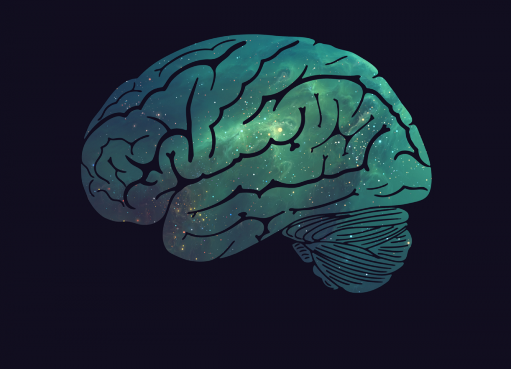 Мозг красиво