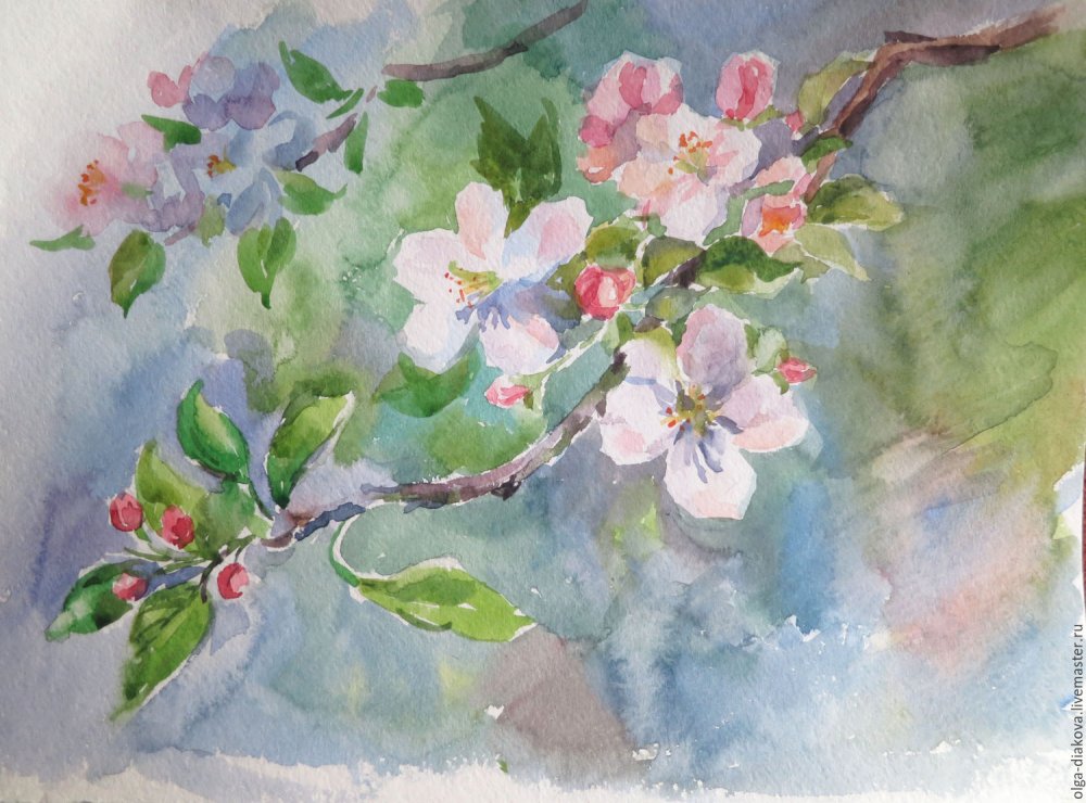 Яблоневые цветы акварель