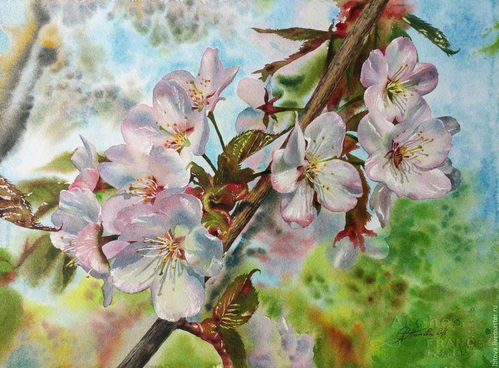 Картина по номерам на холсте Цветущая яблоня