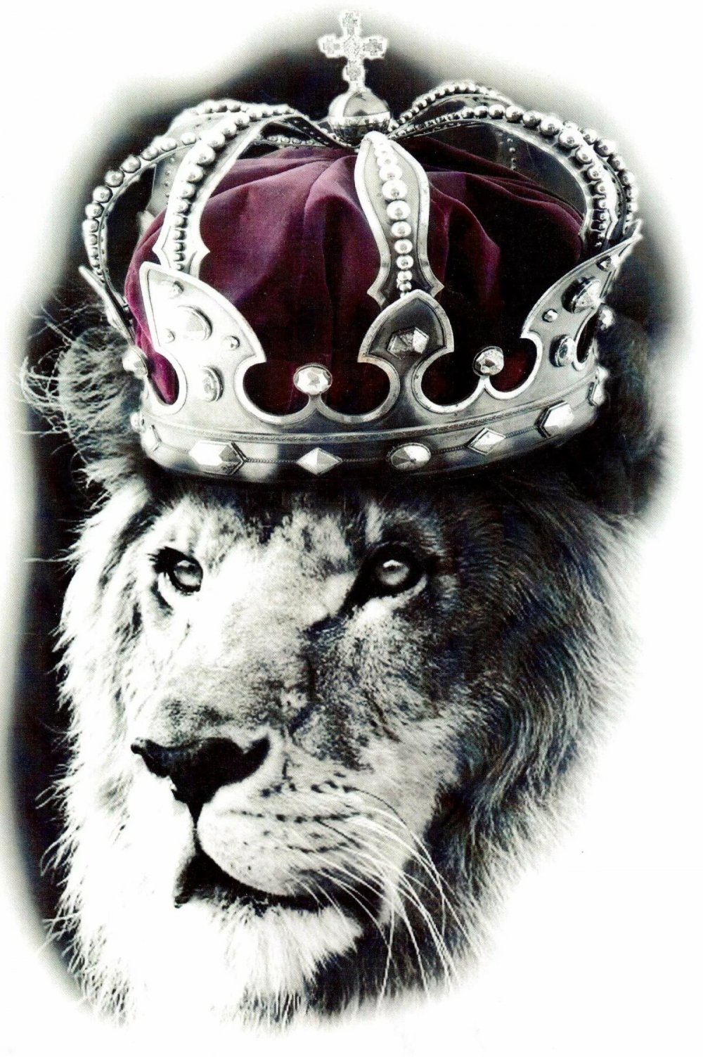 Лев с короной реализм