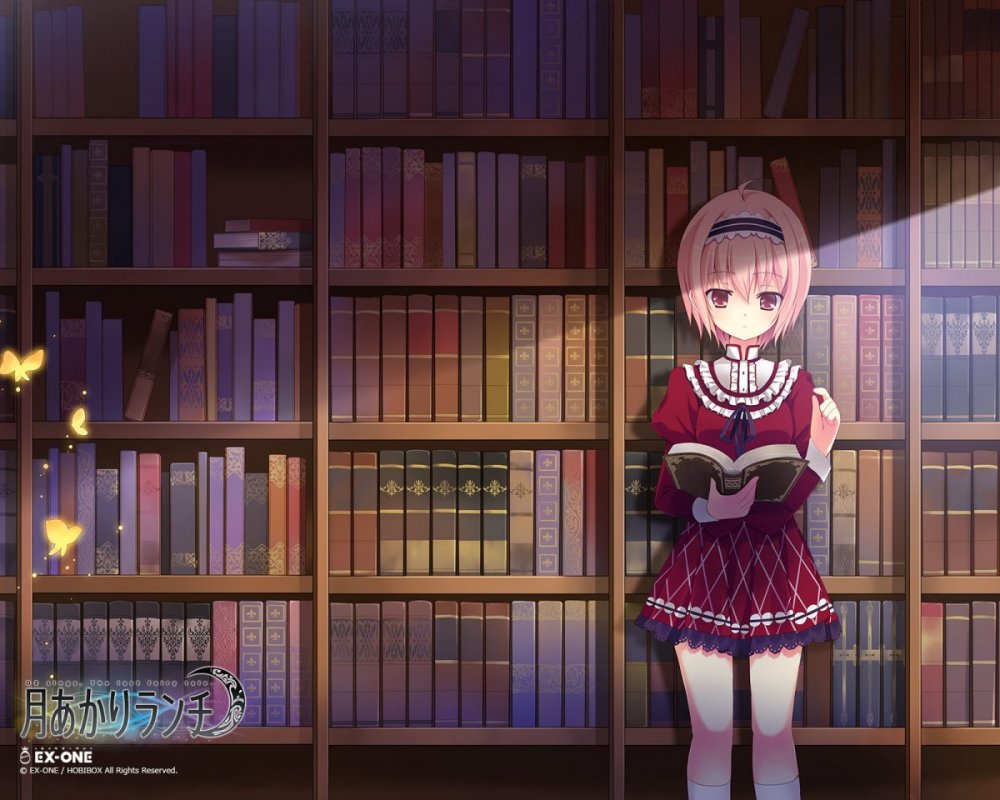 Книжный шкаф аниме