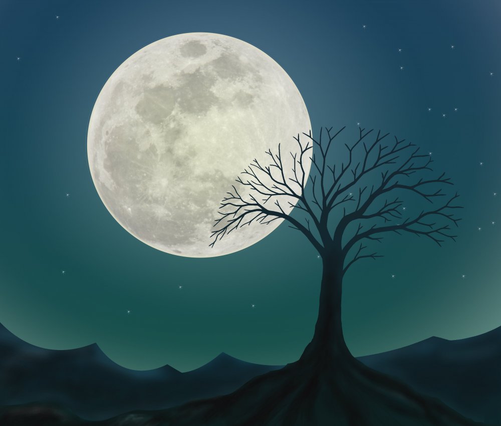 Ночь Луна арт