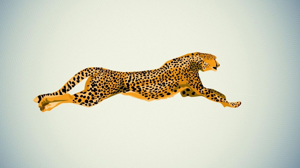 Гепард бежит