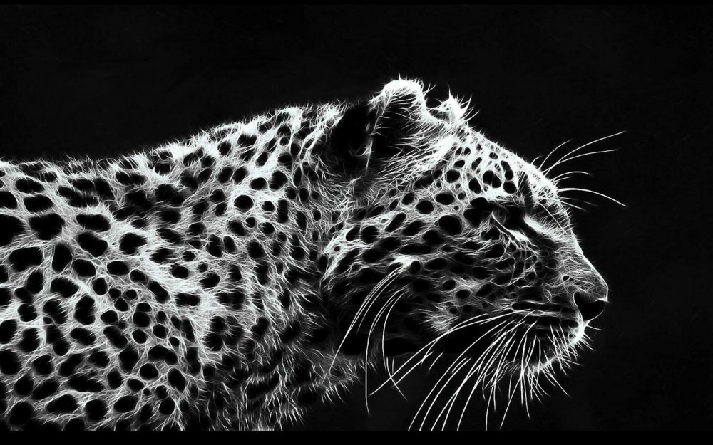 Леопард черно белый