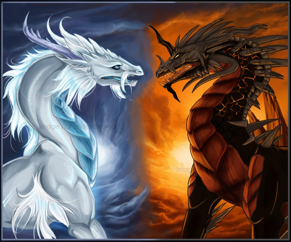 Черный и белый дракон