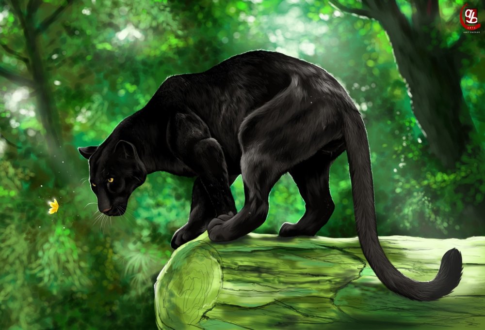 Черная пантера Art