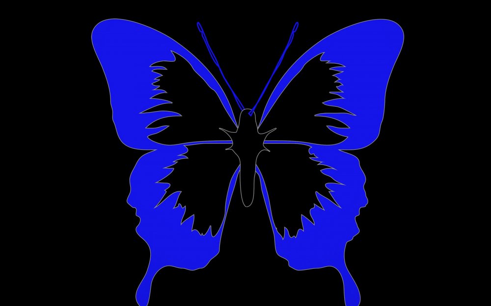 Бабочка МОРГЕНШТЕРНА синяя