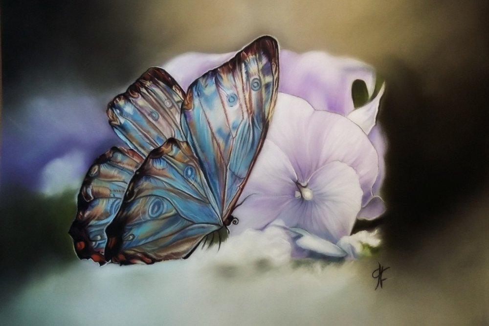 Картина бабочка