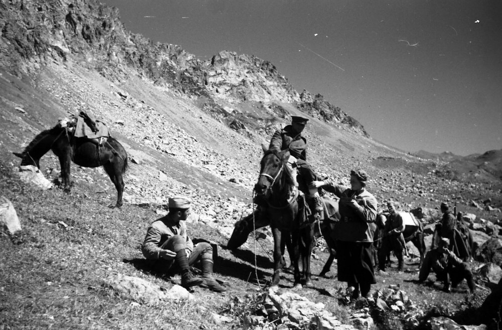 Битва за Кавказ 1942