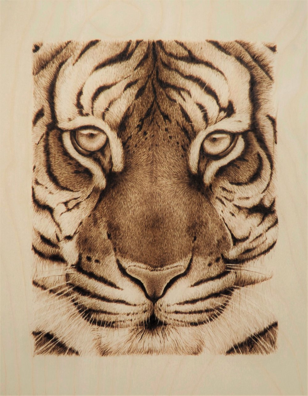 Пирография тигр