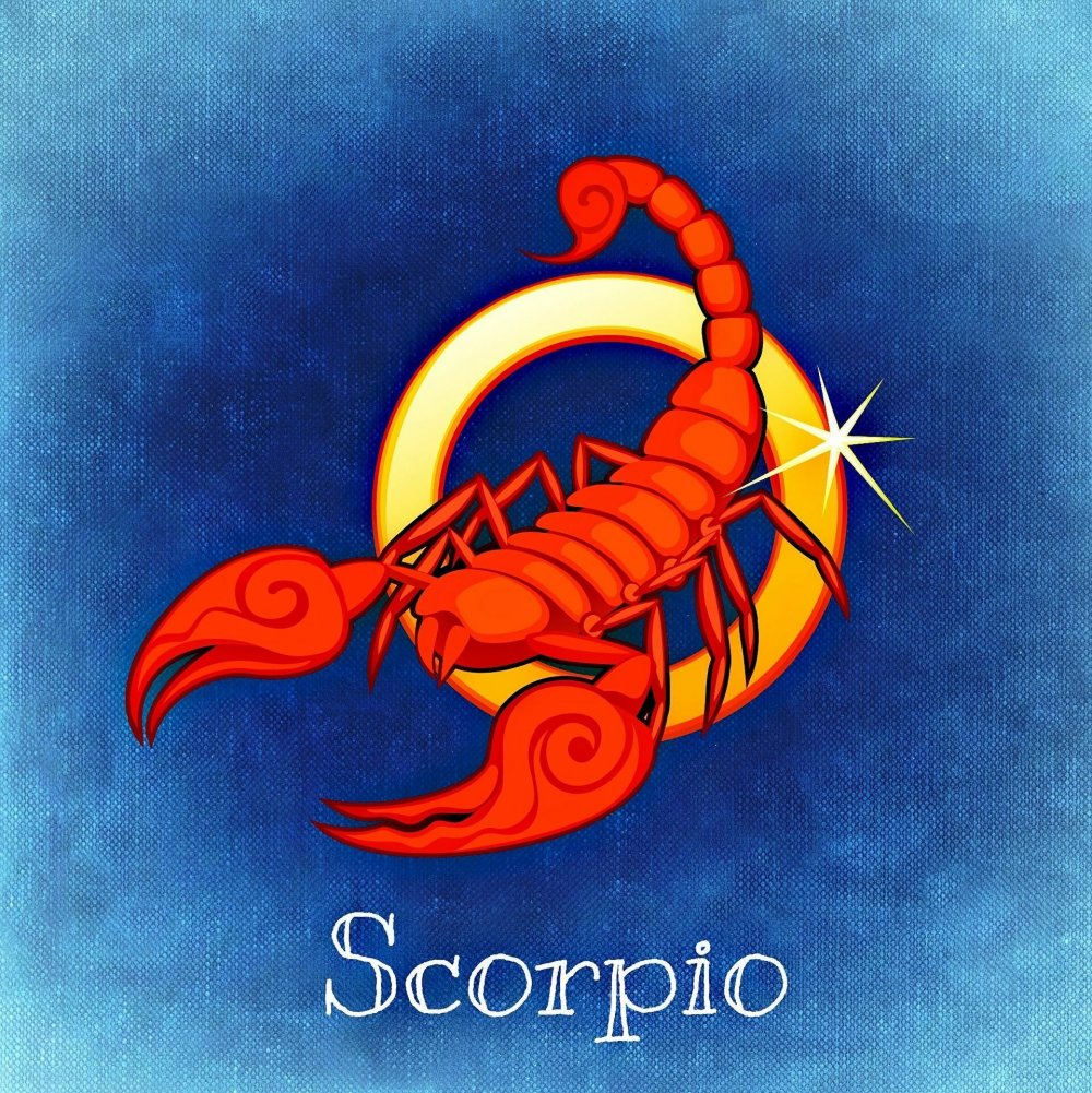Скорпион знак зодиака Скорпион