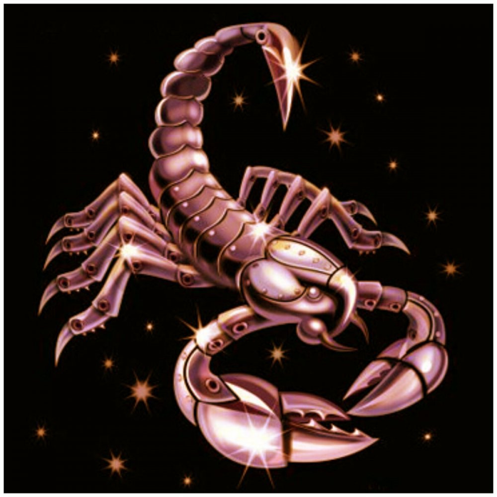 Веселая астрология Скорпион мультик