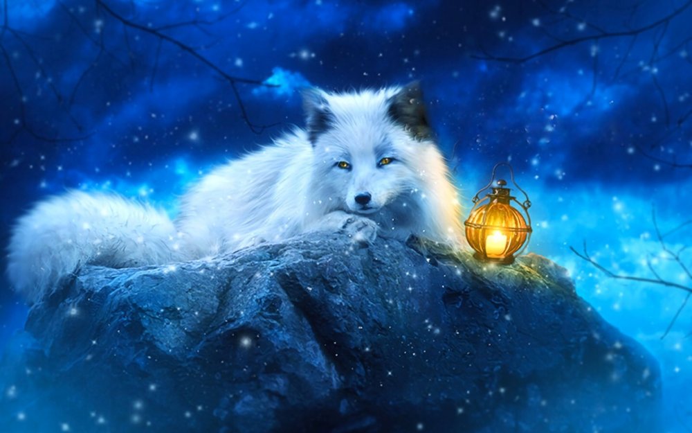 Снежные волки фэнтези