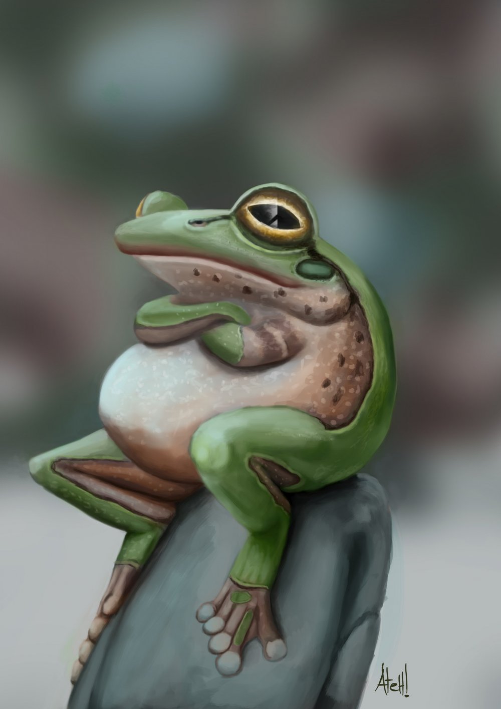 Милая жаба