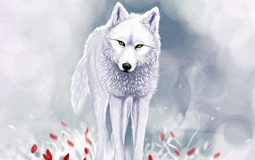 Аниме белый волк с голубыми глазами