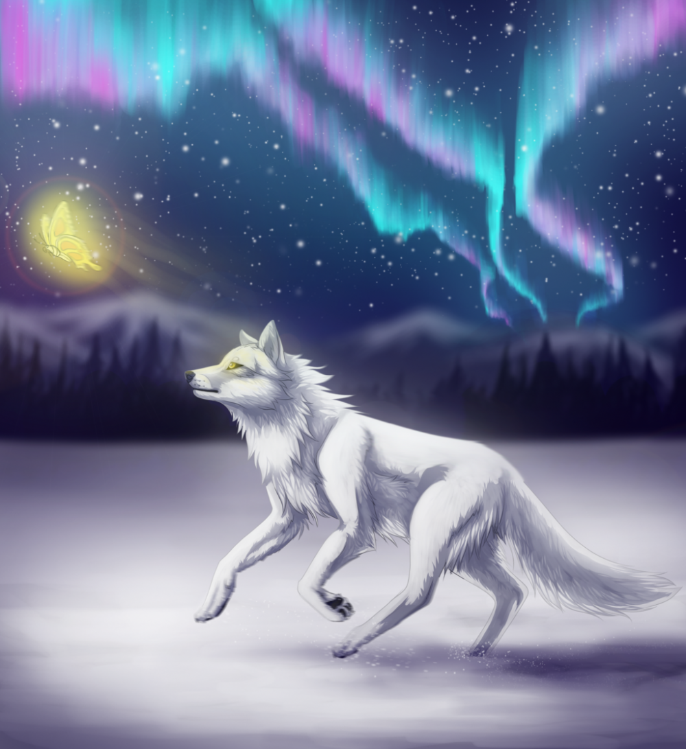 Волки Воители белый волк
