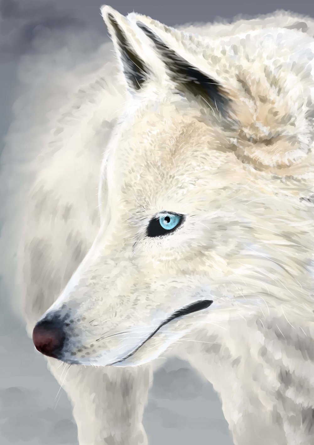 Белый волк арт
