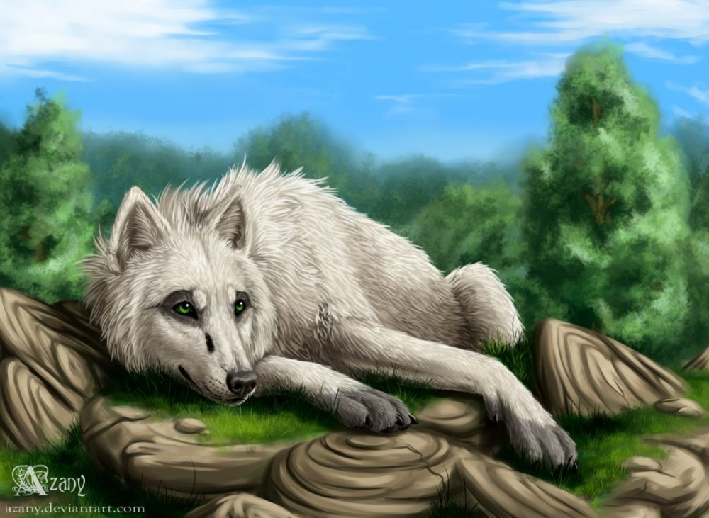 Созвездие белой волчицы