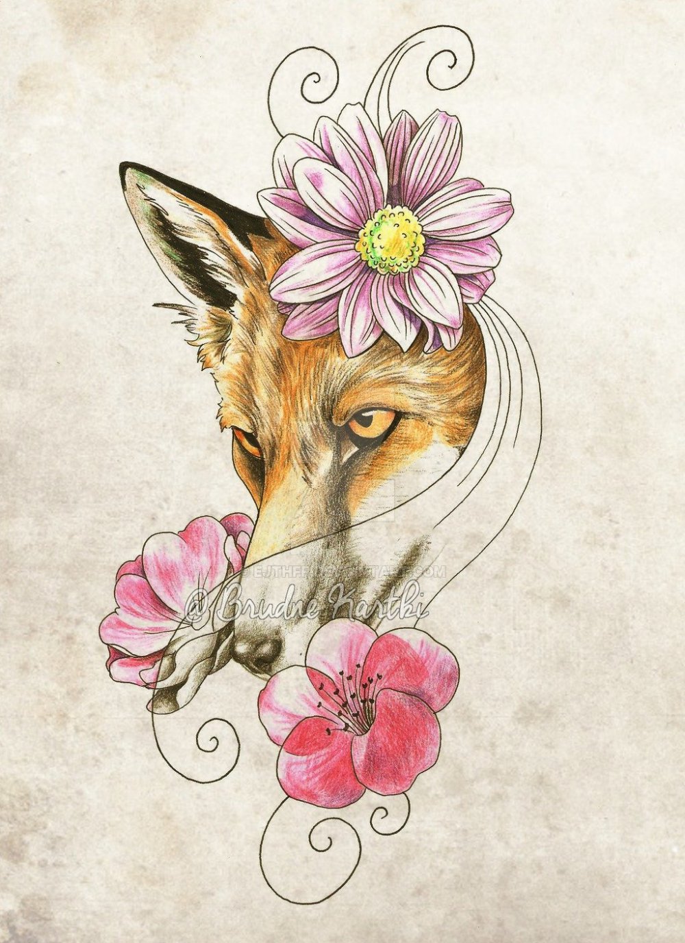 Fox и цветки