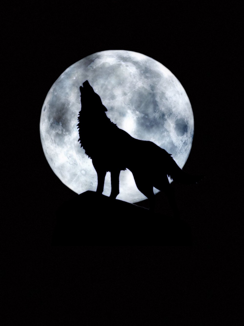 Черный волк и Луна