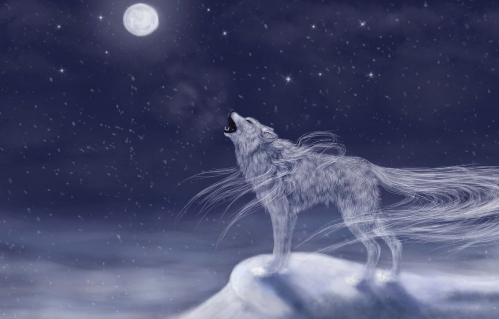 Волк в снегу арт