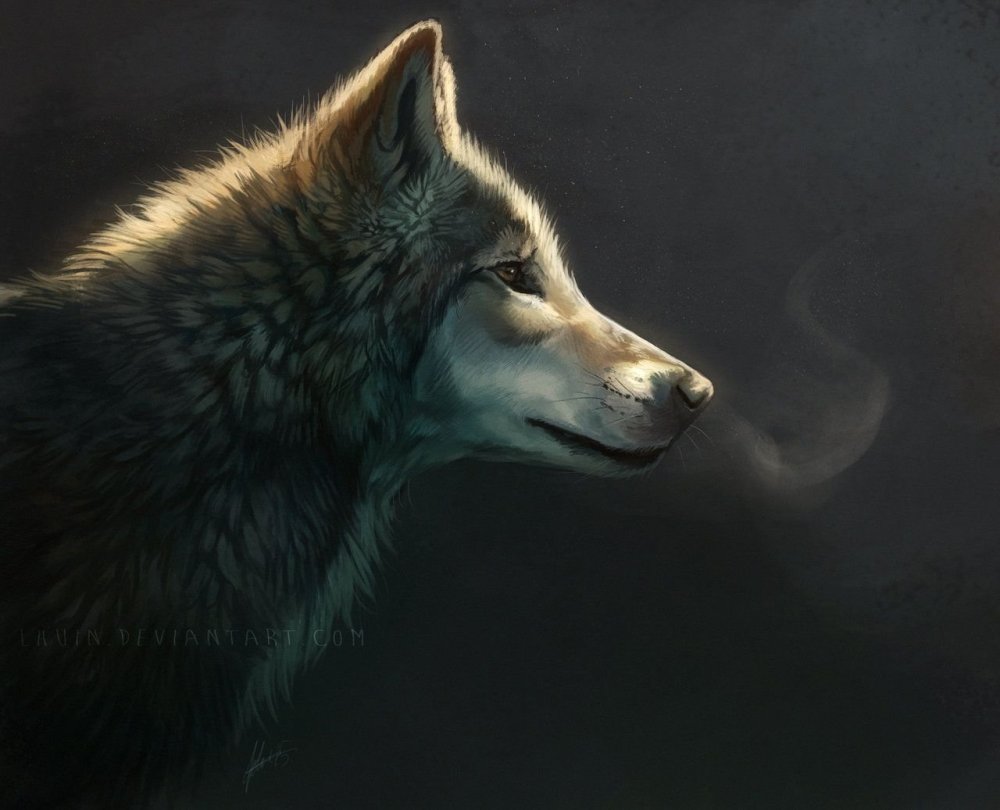 Волк одиночка арт