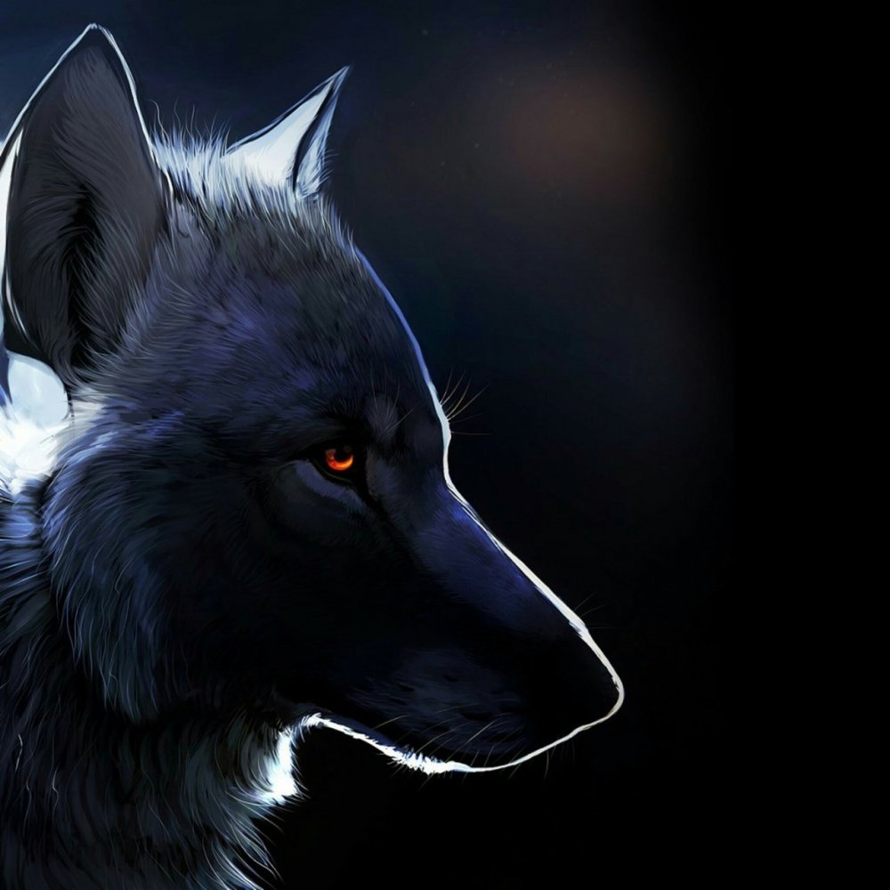 Волк в профиль арт
