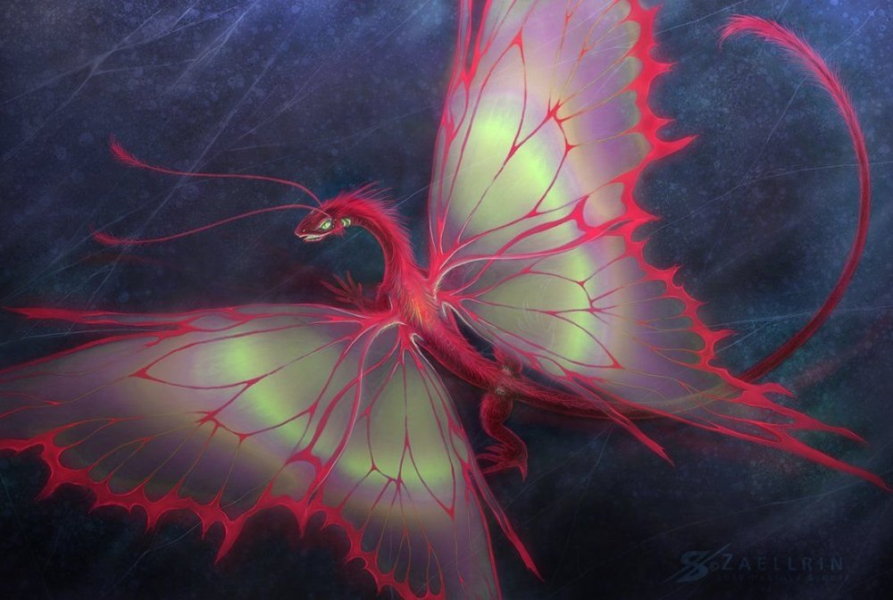 Дракон с крыльями бабочки