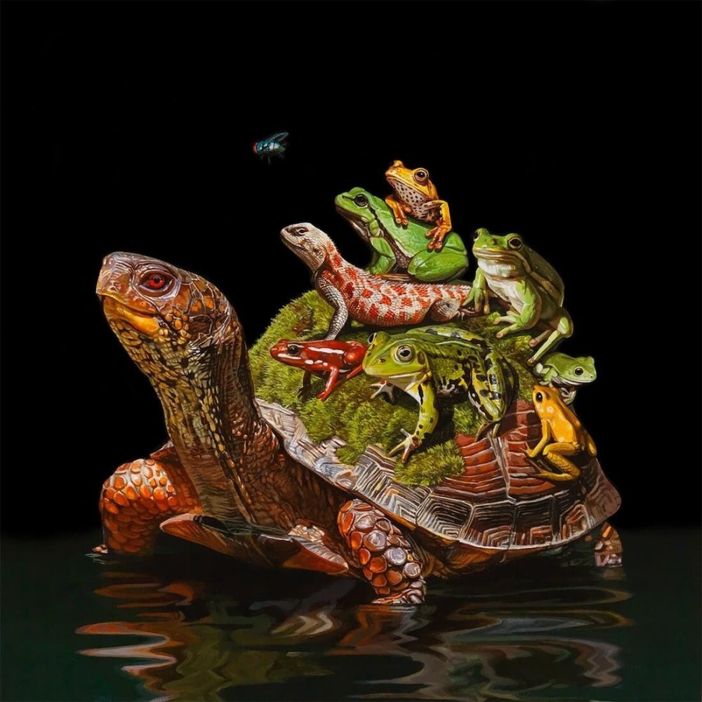 Арт черепахи (44 фото)