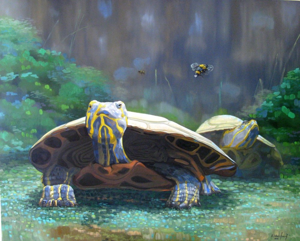 Черепахи арты