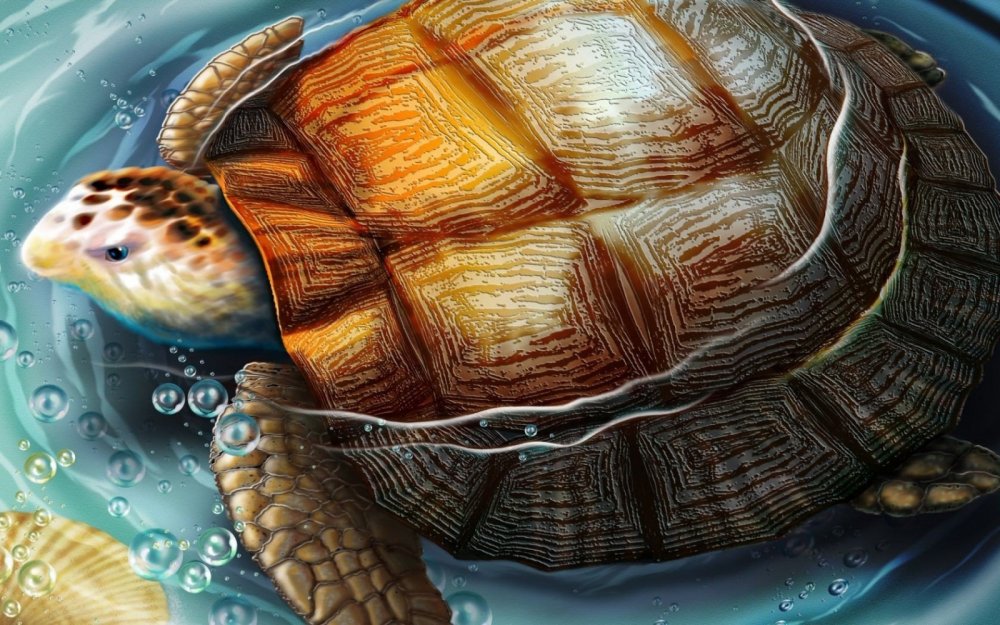 Красноухая черепаха акварелью