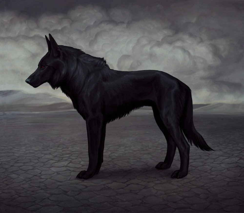 Ярчук чёрная собака
