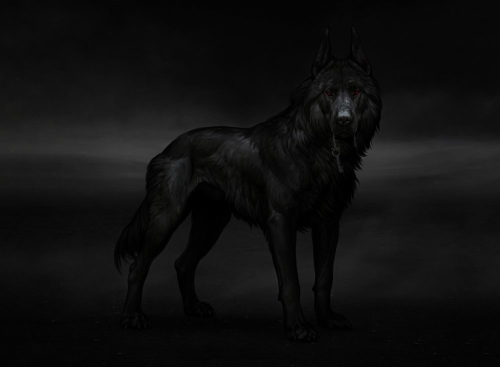 Черный пес арт
