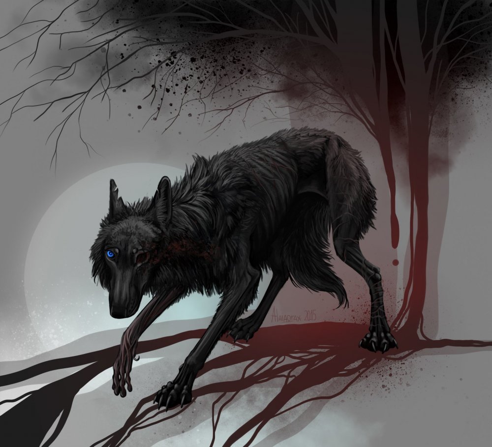 Инугами волк черный