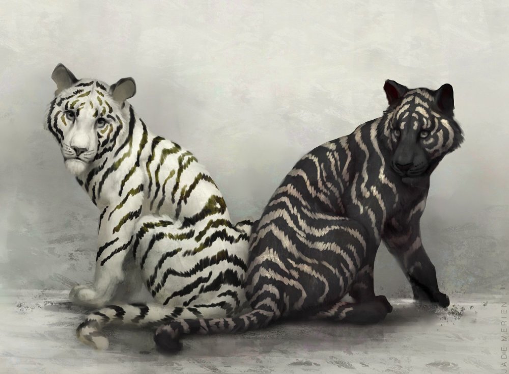 Чёрный тигр с белыми полосками